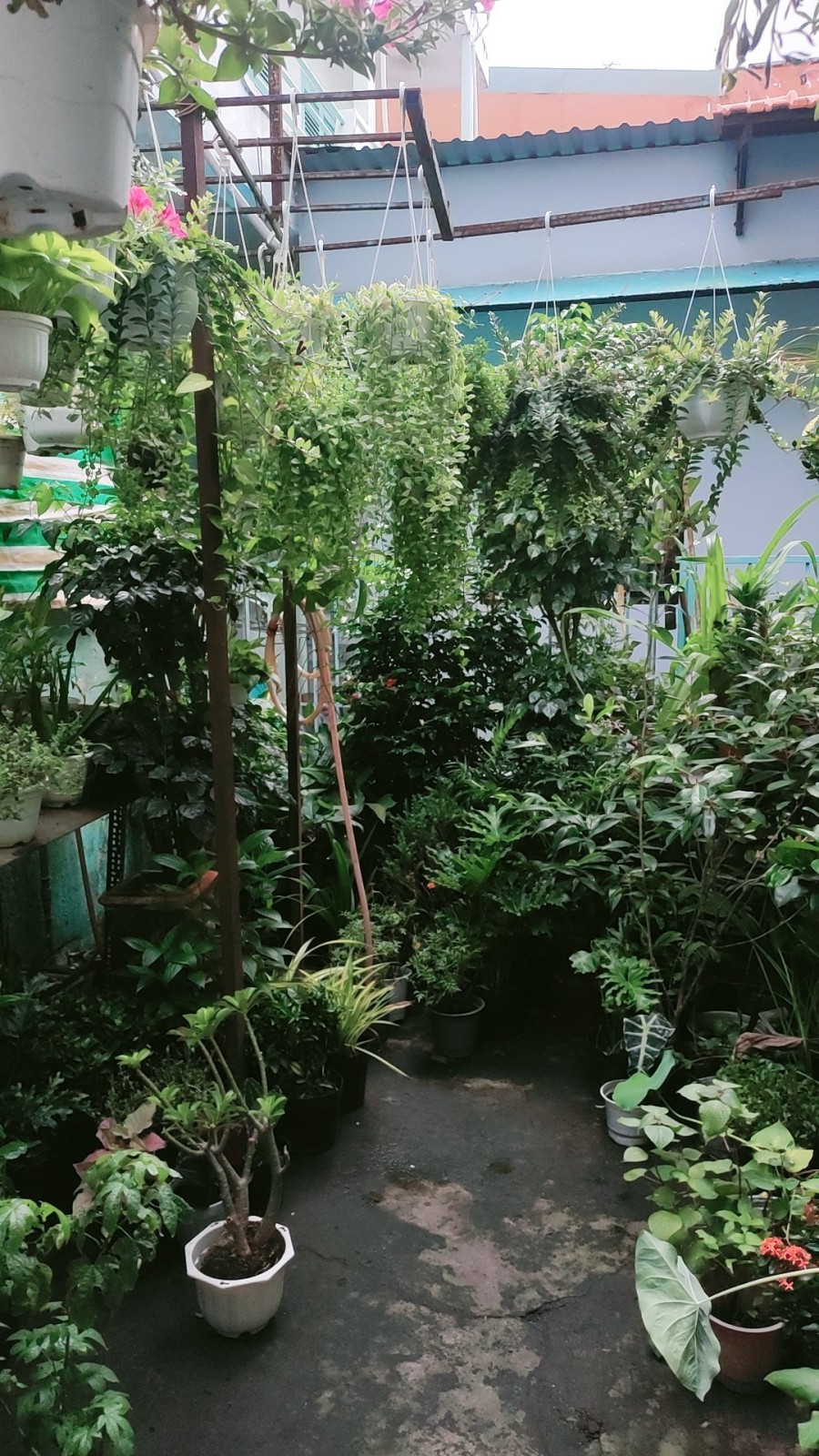 Bán nhà mặt tiền Lê Quang Định, Bình Thạnh - ảnh 2