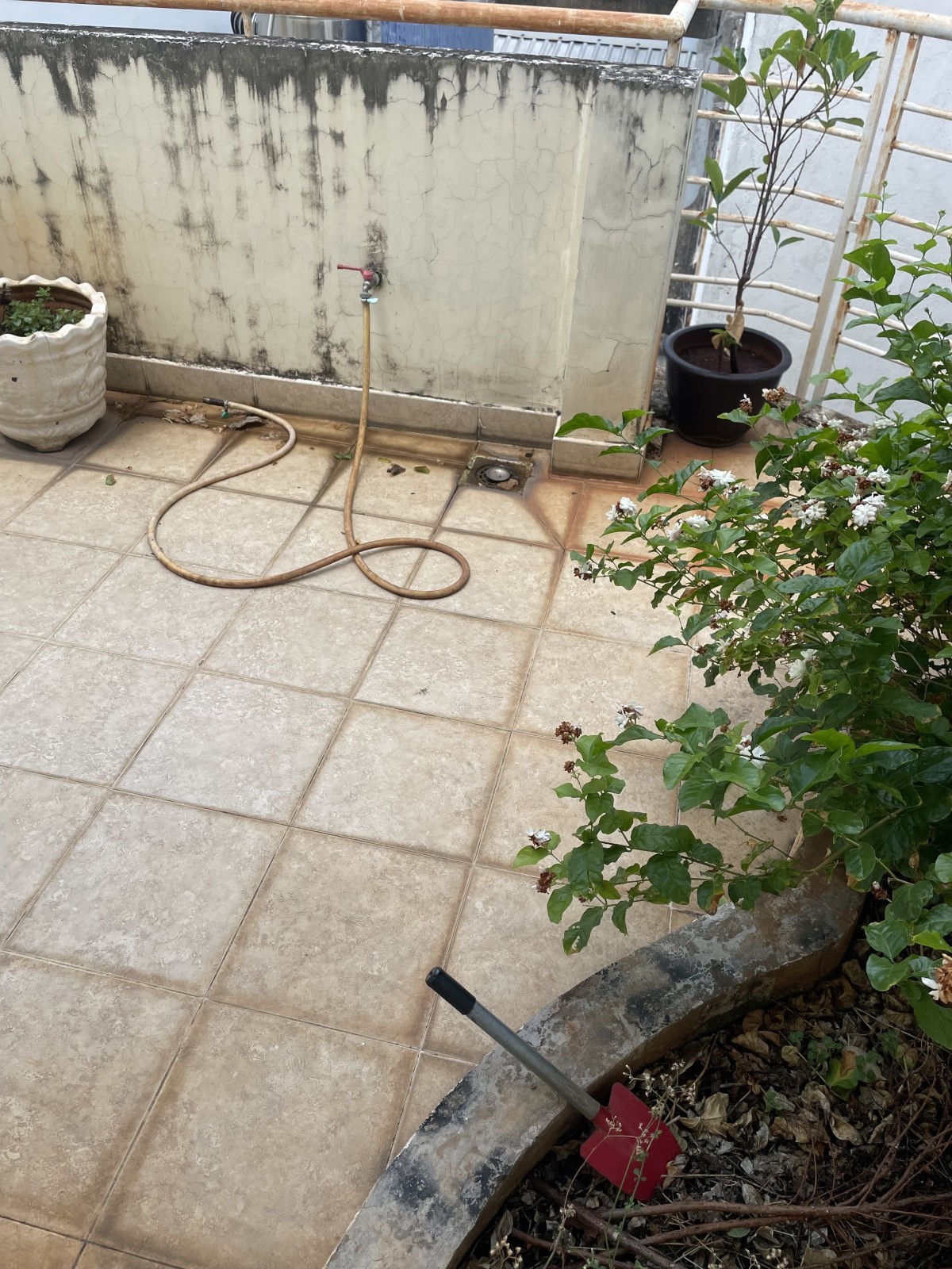 Bán nhà đường Phan Liêm, Quận 1 - ảnh 6