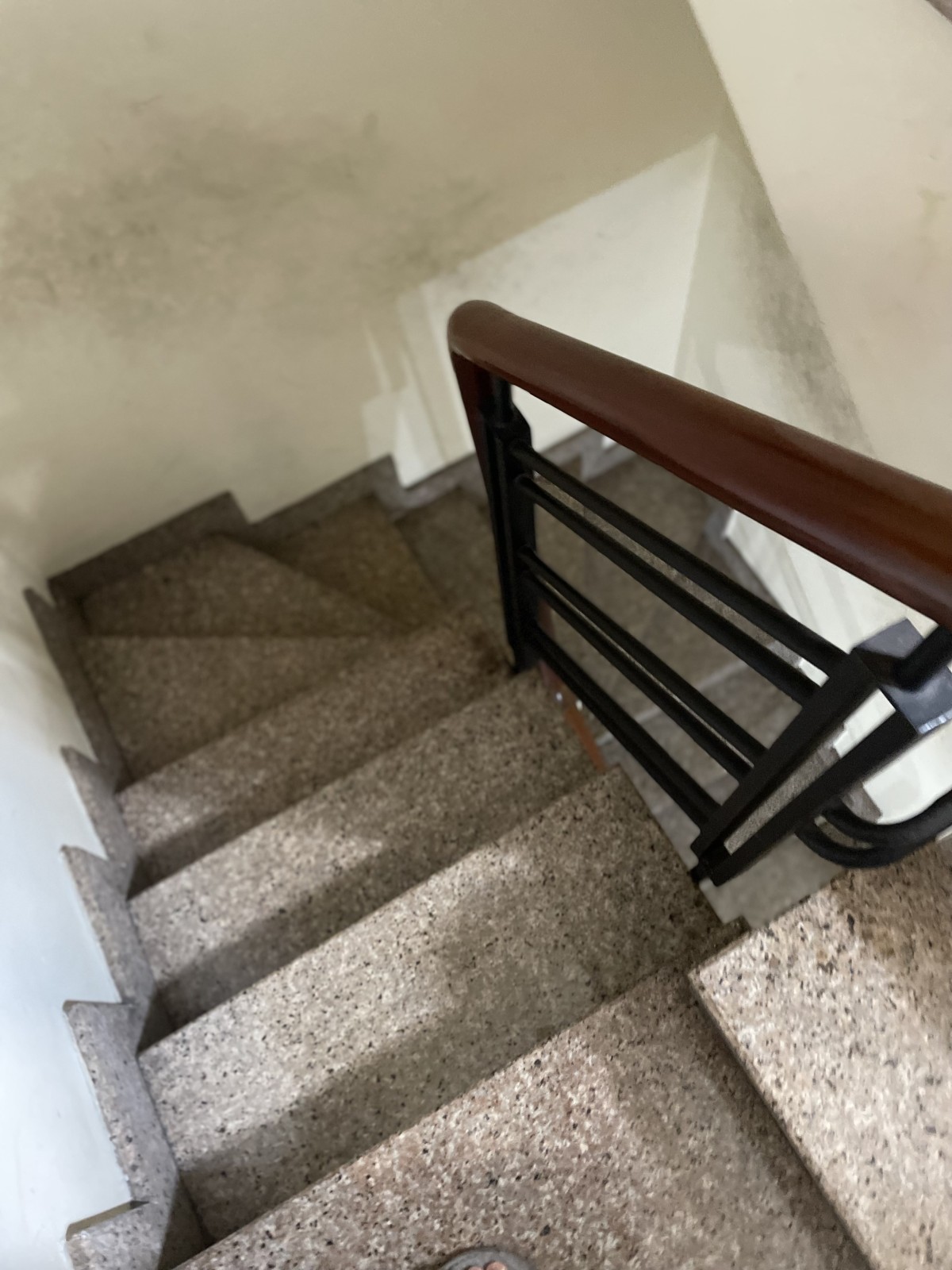 Bán nhà đường Phan Liêm, Quận 1