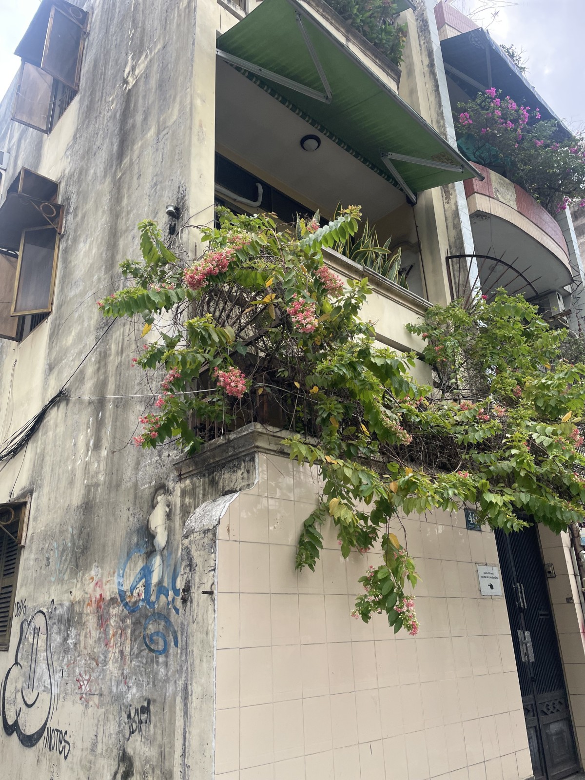 Bán nhà đường Phan Liêm, Quận 1 - ảnh 5