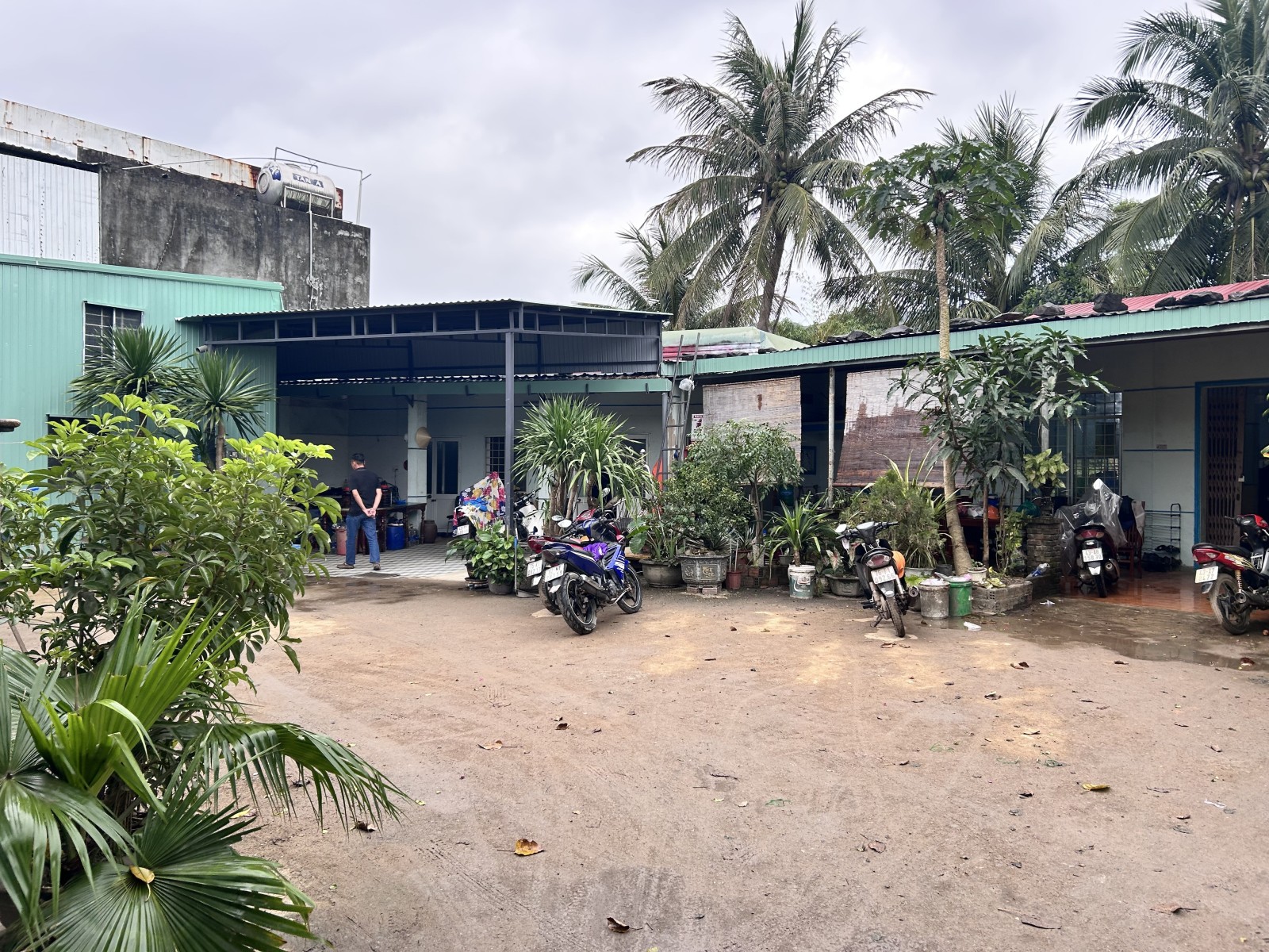 NGUYỄN VĂN CỪ 264m², cấp 4, ngang 10m, dài 24.6m, giá 8 tỷ, Liên Chiểu