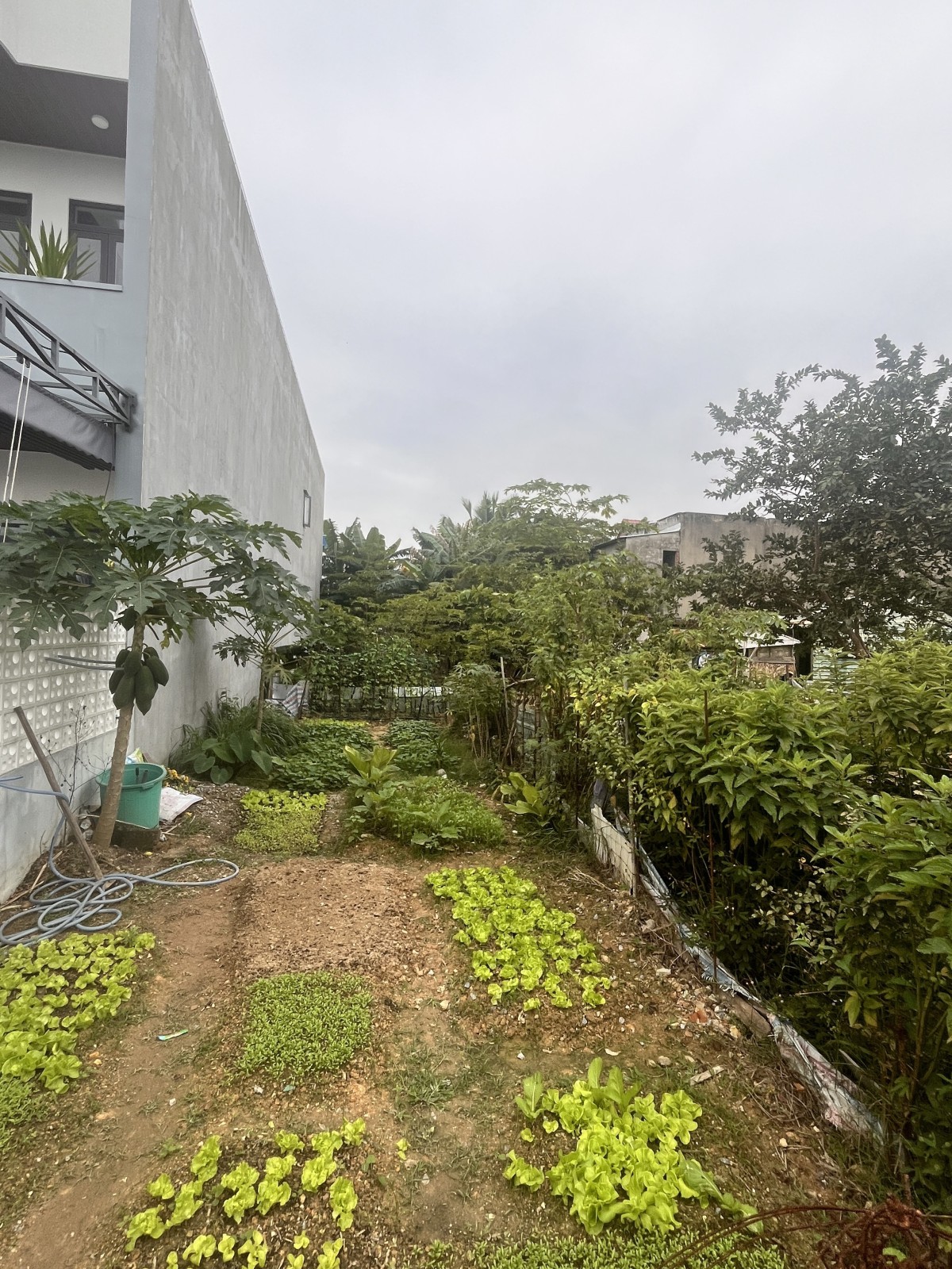 HOÀ LIÊN 4 160m², ĐẤT, ngang 5m, dài 32m, giá 3.4 tỷ, Liên Chiểu